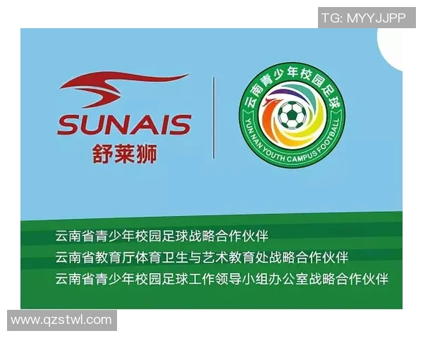 创新足球赛事策划方案提升观众体验与品牌价值的综合策略研究